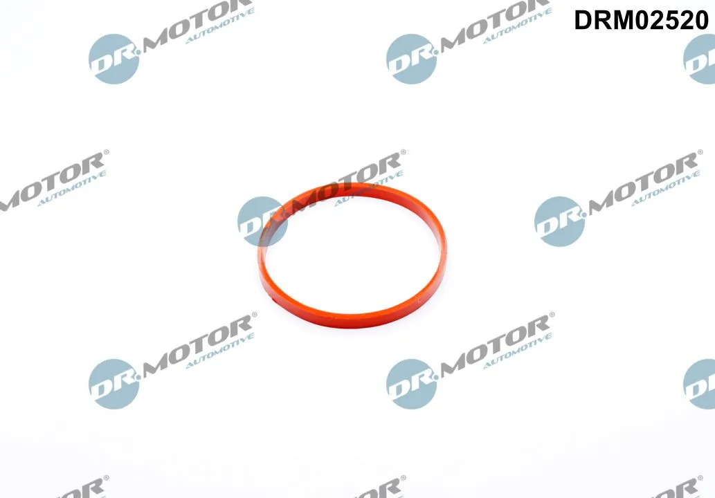 Gasket, throttle body